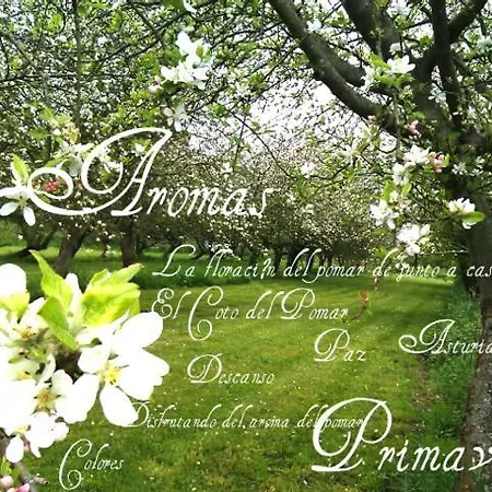 Coto Del Pomar *