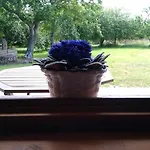 Country house Coto Del Pomar *