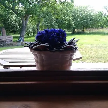 Gospodarstwo wiejskie Coto Del Pomar *