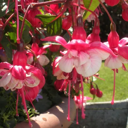 Gospodarstwo wiejskie Coto Del Pomar