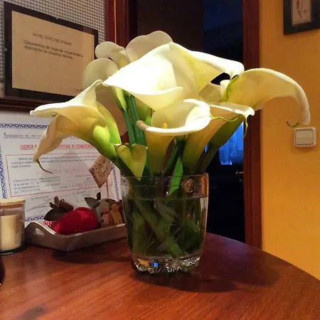 Coto Del Pomar * Muros de Nalón