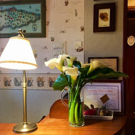 Coto Del Pomar Muros de Nalón